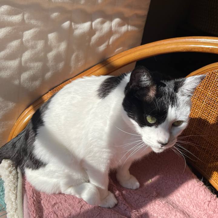 5c2c85b2 0d34 4d81 932e 6c576da3d531 1768185880379