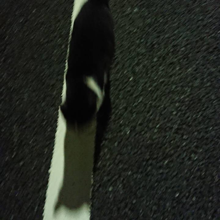 5c2c9c97 261a 40bf b047 7790080fad15 1536472227412