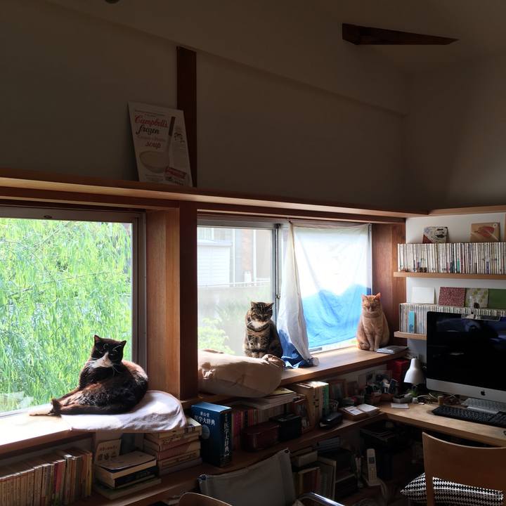 5c2cc201 2d48 4485 a8d0 9ac3eabddf2b 1588032409234