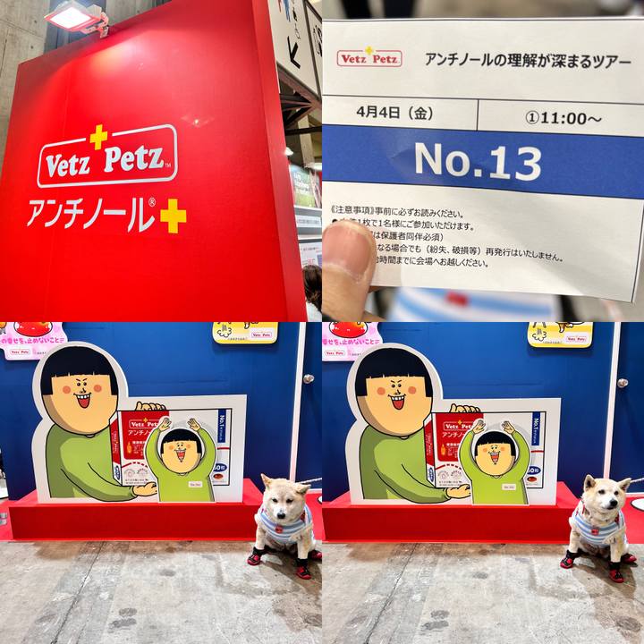 5c2cd4ff 9460 41c1 8310 4b5122b76202 1743772438858