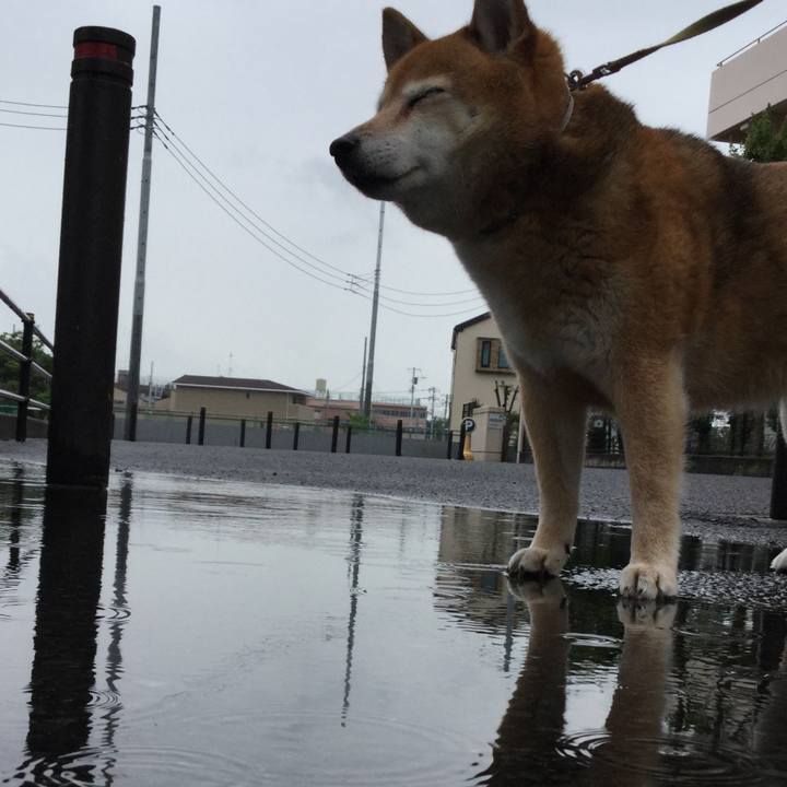 5c2cf038 1486 4c23 8b50 d56511f18850 1624069396960