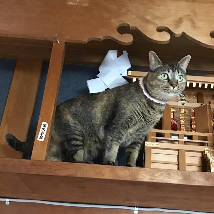 5c2d04b8 3842 4a52 a43d aa6b0ea5cf2f 1696577728608