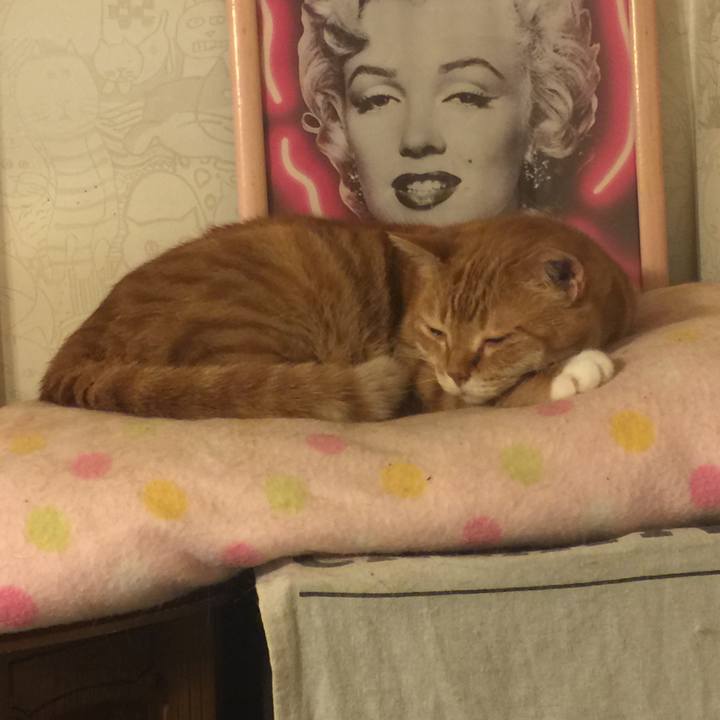 5c2d4749 0123 4b53 b34b bf2943f73f77 1559825497125