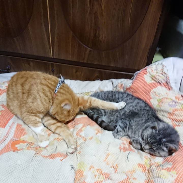 5c2d5310 3655 4189 bc70 fb1e37cf9230 1572439121136