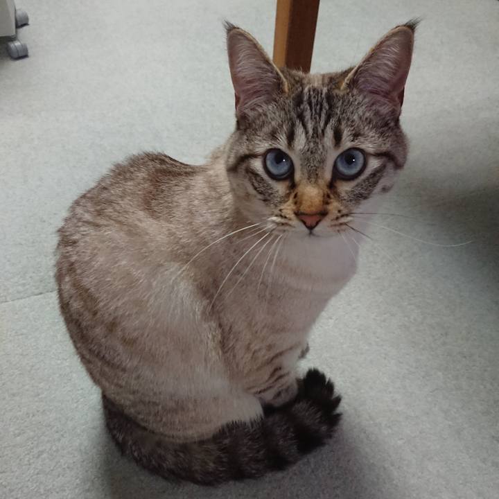 5c2d6fb9 a727 49fd 8fe8 83d0acb43422 1557445355610