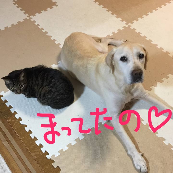 5c2d7db0 b71f 4158 8a89 5a204d99d540 1509364575547