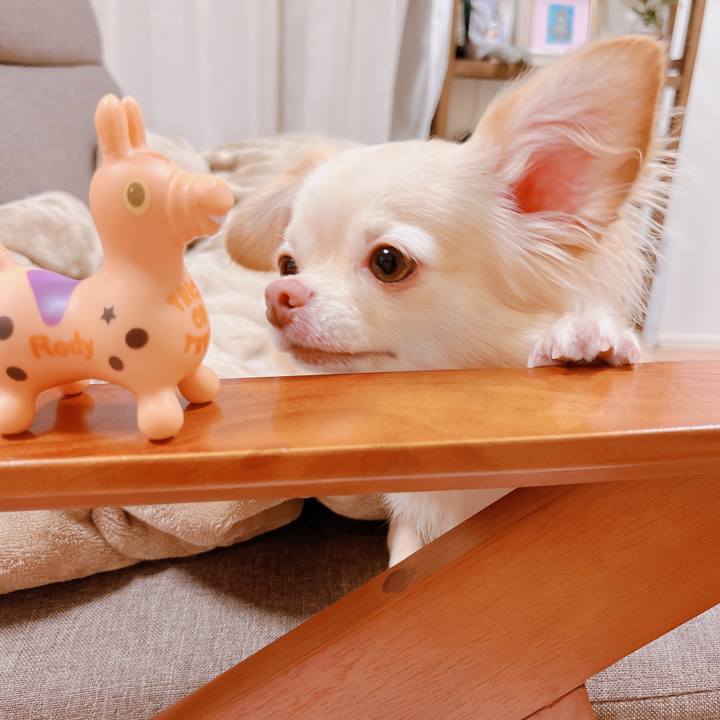 5c2d7e9f a4a5 46b9 8948 7969d510b3ad 1664354833358