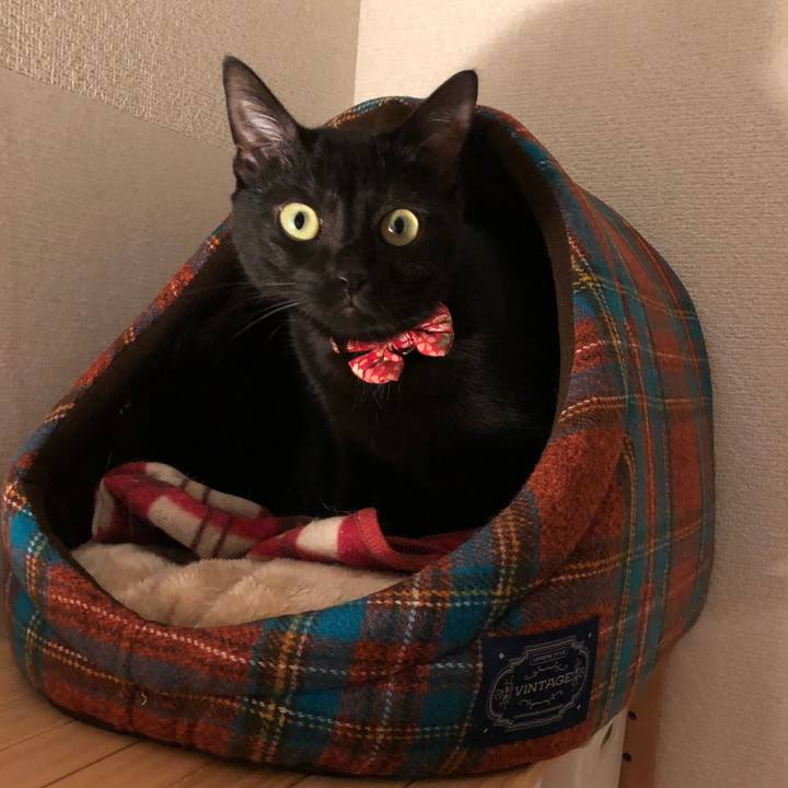 5c2dbb85 ab53 4dee 975c 0a74ede8e4d2 1509369013809