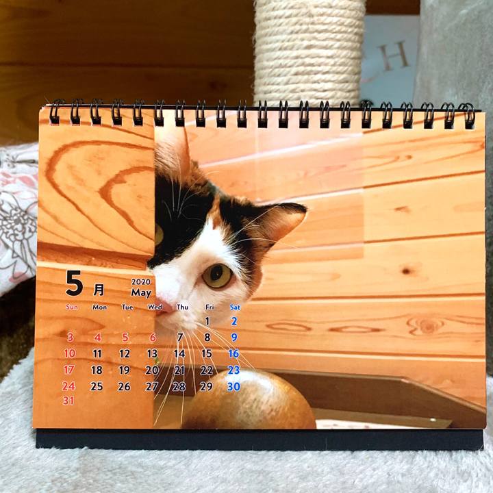 5c2dd95b d1e1 46ce 9c3d 8dcc90bf0be8 1588314530718