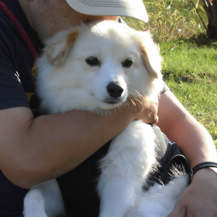 5c2dffd1 fbfd 451d bff5 2f628de4e89e 1637571360554