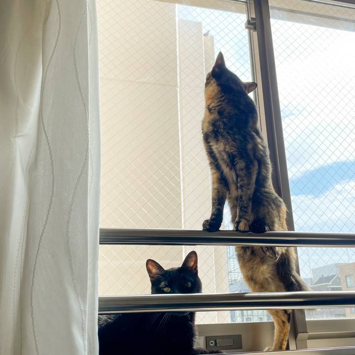 5c2e0107 5a33 4aa2 99dc 5e72d6dbffba 1660393088580