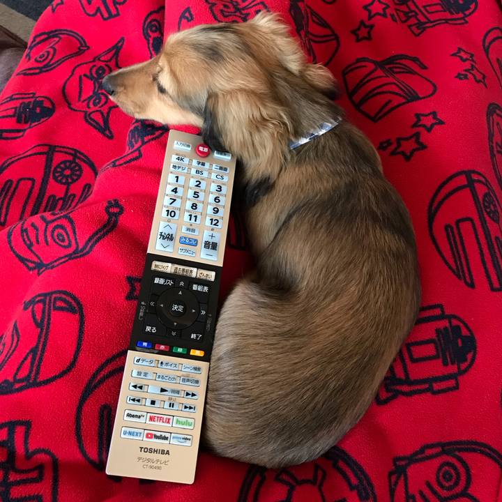 5c2e5381 d341 4860 baed e31b38eef08e 1614757823240