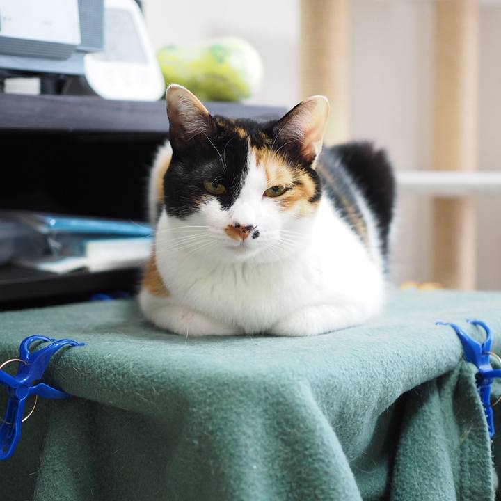 5c2e60cb 9a64 4d6d a686 8dacc7c2c6ff 1521673383955