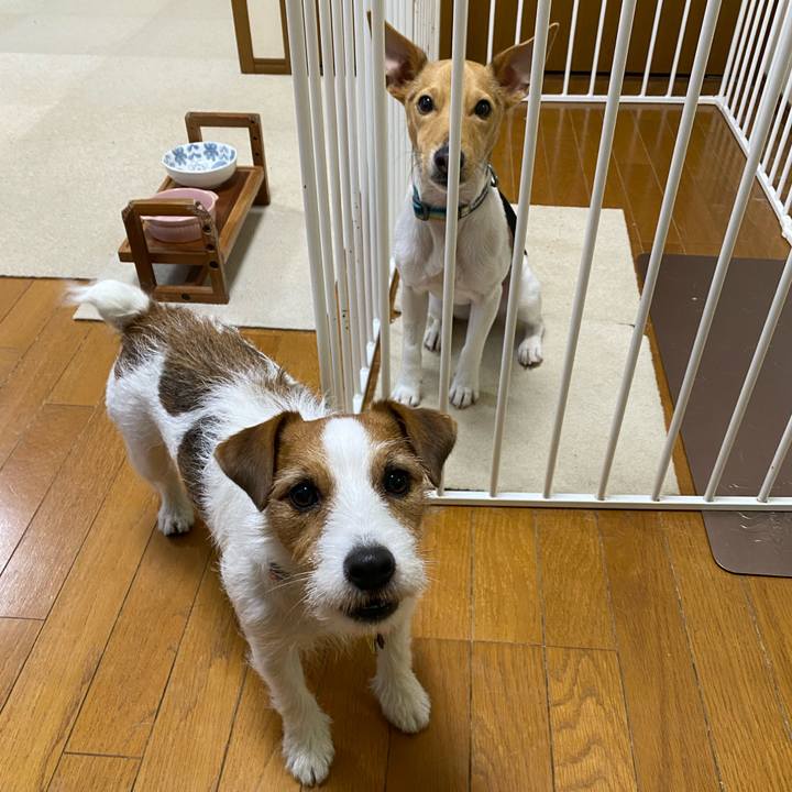 5c2e613a 1814 4c99 8b6b e0f1e2c4e0e1 1769725271376