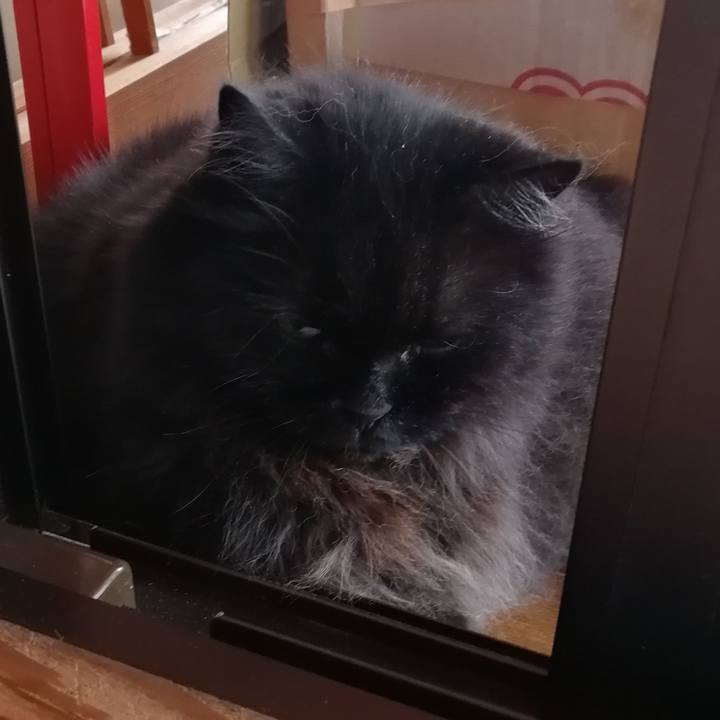 5c2e67d5 efaa 4f3c ab27 c573996581fe 1533432534700