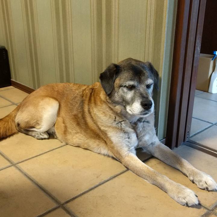 5c2e7c3e 3073 479c b9ad 9b2e68b25d85 1518846755421