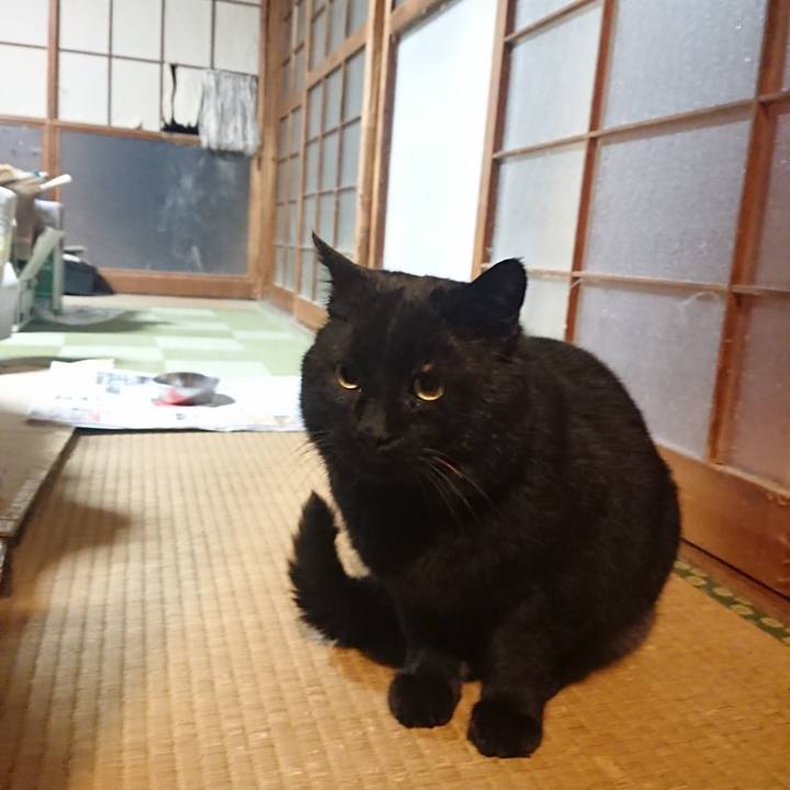 5c2eda27 8468 49c5 bfbf 152396f4ea39 1614340153044