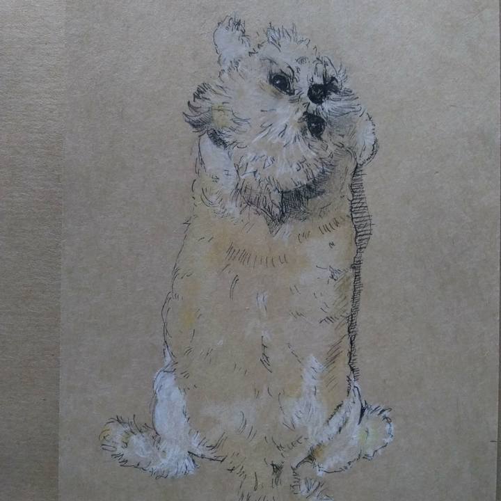 5c2f3634 37ec 48a7 8914 69841c32fd57 1542458382949