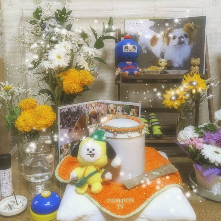 5c2f51e0 4cab 4ebb a628 e9ebc9953866 1685545634796