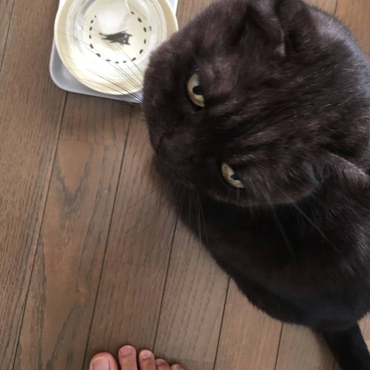 5c2fc9a1 4148 428a af98 86eb0bf477c8 1575335227000