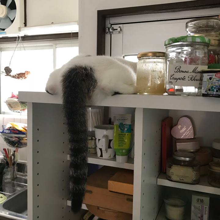 5c2fd2a5 d6b6 404c a4ba 55b6bfb310ea 1538071372037