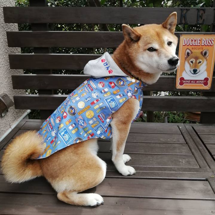 5c2fea80 9527 4116 bfd4 14af104eb7bc 1680005772878