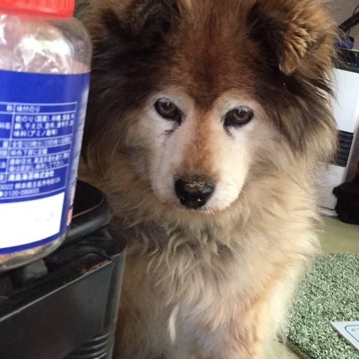 5c2ff7f6 502c 42c9 9061 d0e0e3a5e116 1604122371457