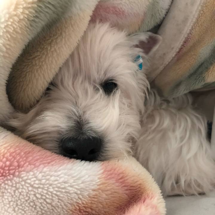 5c301444 0b1d 41a0 a1f7 fce7f5cfc54f 1552279461619