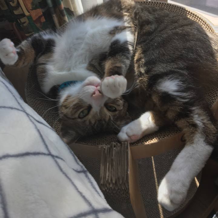 5c305817 c6f9 4188 a1ff 707b06200c78 1677470755855