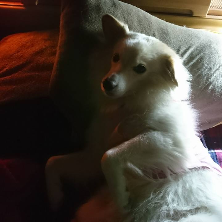 5c305cfd fdd0 4439 8d3d d33aa2727461 1512506141195