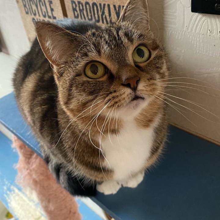 5c3075d6 9acb 4ef4 9abf 823d5f90675c 1644903768964