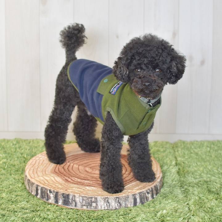 5c30a225 eddc 4161 86ce 92949d80aa1d 1598084076852