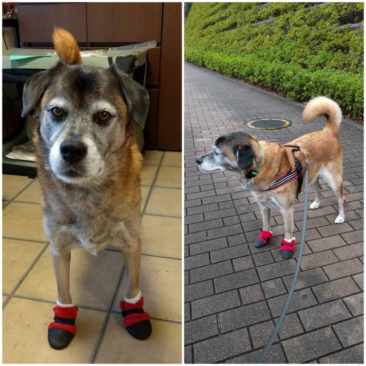 5c30f804 9dd3 4943 aa82 37da5aba3374 1651882242695