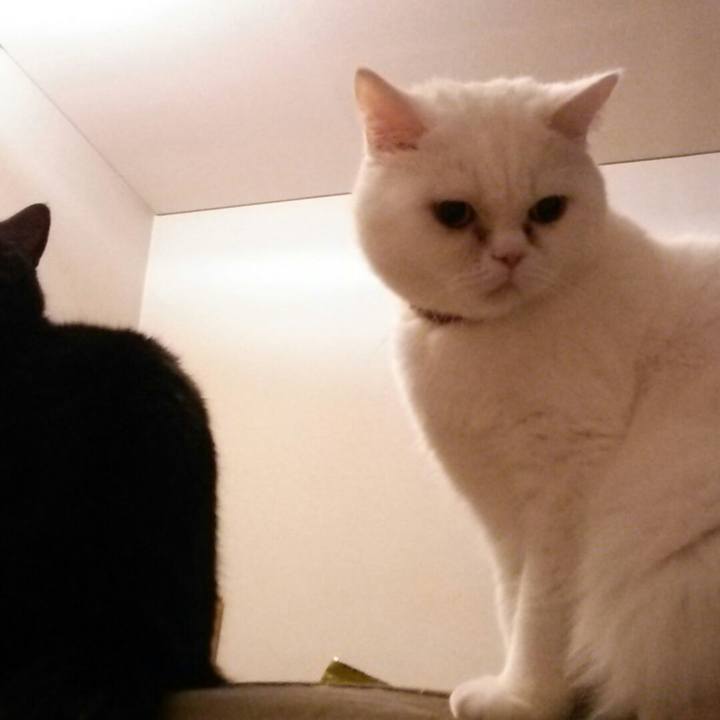 5c310dfc 8547 4362 8437 03f0f9a7b68d 1517214580680