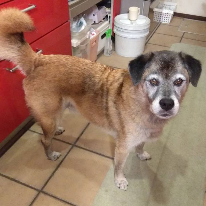 5c3118c8 9e15 4bf4 be95 7023958734ba 1570192285905