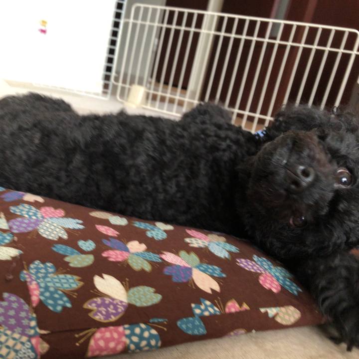 5c31585c ad0d 4017 bda5 4a3b71e0dd1a 1536999153566