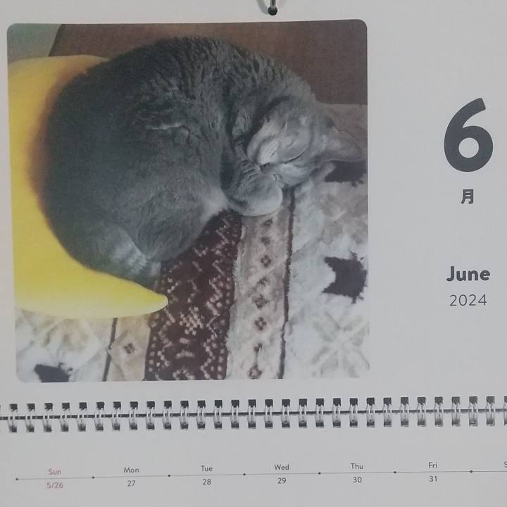 5c31673f 4614 4c9a 8a65 a7e19f2d07c7 1717198093610