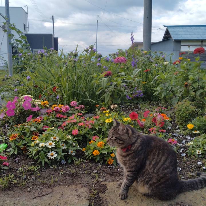 5c317359 c7ab 4a5b 8fce 33c1077ce5ea 1688600504520