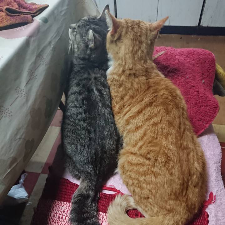 5c3177f1 29a2 41f9 bd13 8c5bd31ef237 1554266067691