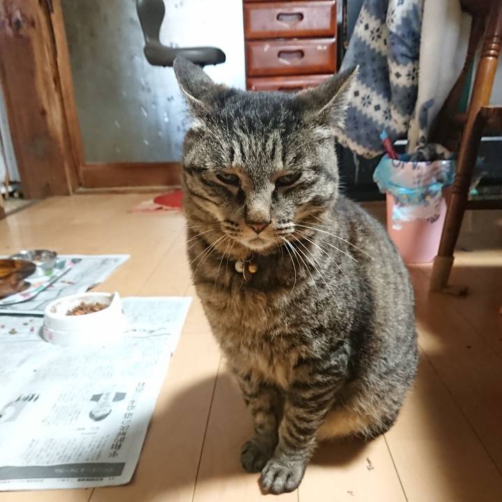 5c318921 b943 4894 8a96 7bd3e0e36ba9 1651613086020