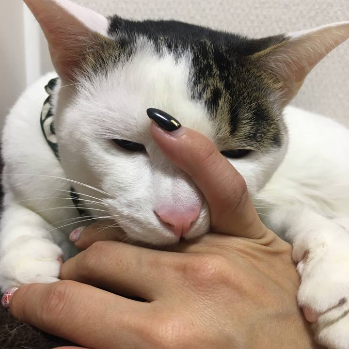 5c31a8c6 691f 4902 b309 aa4b54ec30dd 1516846486453