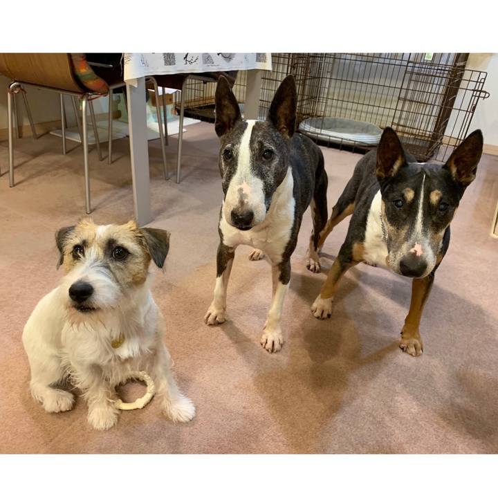 5c31e57b 174d 4edb 930f 8825e1012ad1 1600170353594