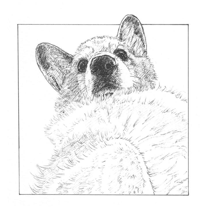 5c31f170 a8ee 41b6 a6f1 1c277d04252d 1578316825757