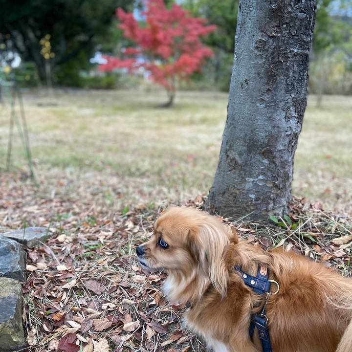 5c321ca6 93fd 4884 9e36 f3b1fcbaeeea 1574722508333