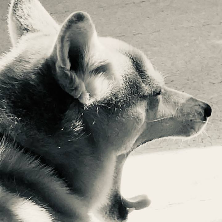 5c3252fa 6194 4e39 841d 66e6990c3954 1665880666878