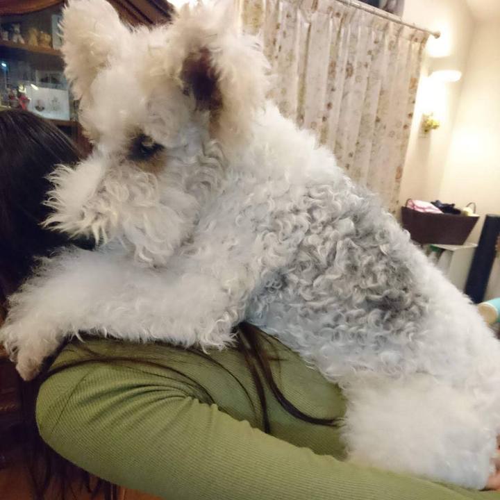 5c326bd5 c6d0 4634 8321 6e307a2f79af 1594342954699