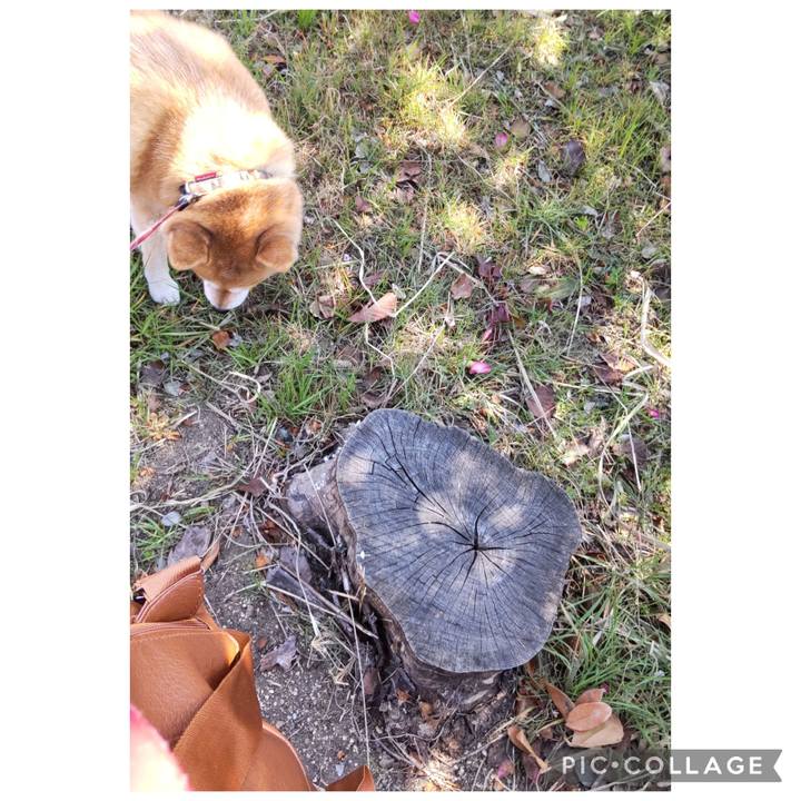 5c327aea 02ef 4fa0 8524 d878496764a1 1773638105985