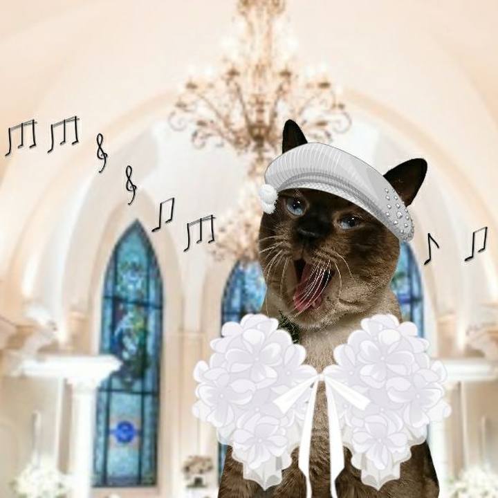 5c329fe3 a0c2 4e9e 97c6 1c458ad6f2dd 1545657122101