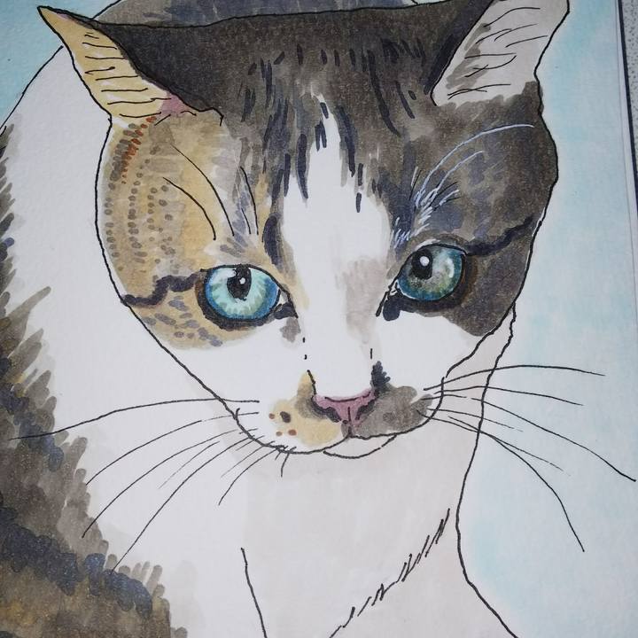 5c32cb81 e14d 45a4 bf5f 2a1e7ac7c5a3 1533457493623