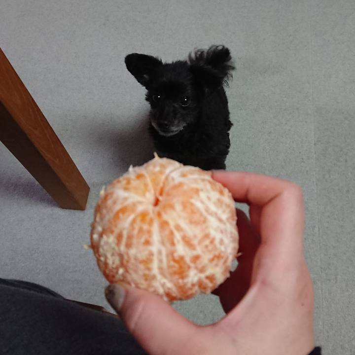 5c32d14f 41ce 42fa bbb5 bb909d52d5f0 1553771399943